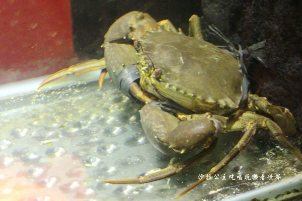 忻殿堂鍋物專賣店:東區活海鮮火鍋/涮涮鍋『忻殿堂鍋物專賣店』捷運忠孝復興站