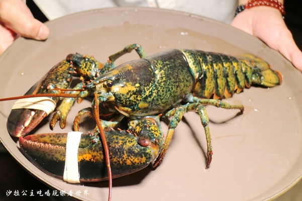 忻殿堂鍋物專賣店:東區活海鮮火鍋/涮涮鍋『忻殿堂鍋物專賣店』捷運忠孝復興站