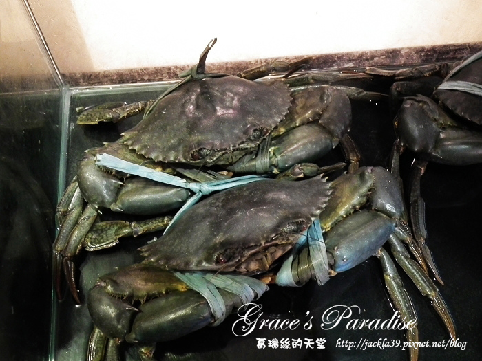 DSCF0808_nEO_IMG.jpg DSCF0808_nEO_IMG.jpg