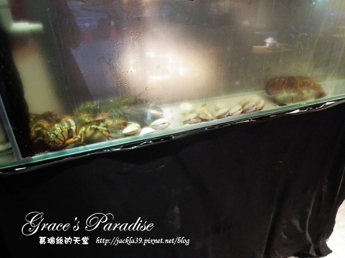 DSCF0806_nEO_IMG.jpg DSCF0806_nEO_IMG.jpg