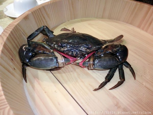 CIMG1954.JPG CIMG1954.JPG