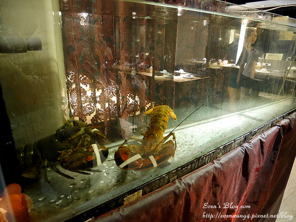 P1050814_副本.jpg P1050814_副本.jpg