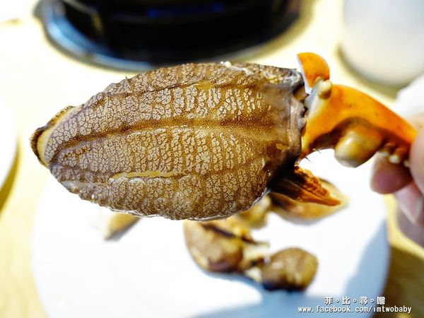 忻殿堂鍋物專賣店：【捷運美食】東區火鍋 忻殿堂日式鍋物 Hot Pot 現流活海鮮 平價頂級的美食饗宴 黃金一品雜炊讓您吃過會懷念！東區涮涮鍋推薦