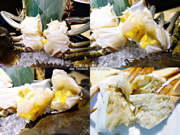 忻殿堂鍋物專賣店：【捷運美食】東區火鍋 忻殿堂日式鍋物 Hot Pot 現流活海鮮 平價頂級的美食饗宴 黃金一品雜炊讓您吃過會懷念！東區涮涮鍋推薦