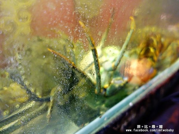 忻殿堂鍋物專賣店：【捷運美食】東區火鍋 忻殿堂日式鍋物 Hot Pot 現流活海鮮 平價頂級的美食饗宴 黃金一品雜炊讓您吃過會懷念！東區涮涮鍋推薦