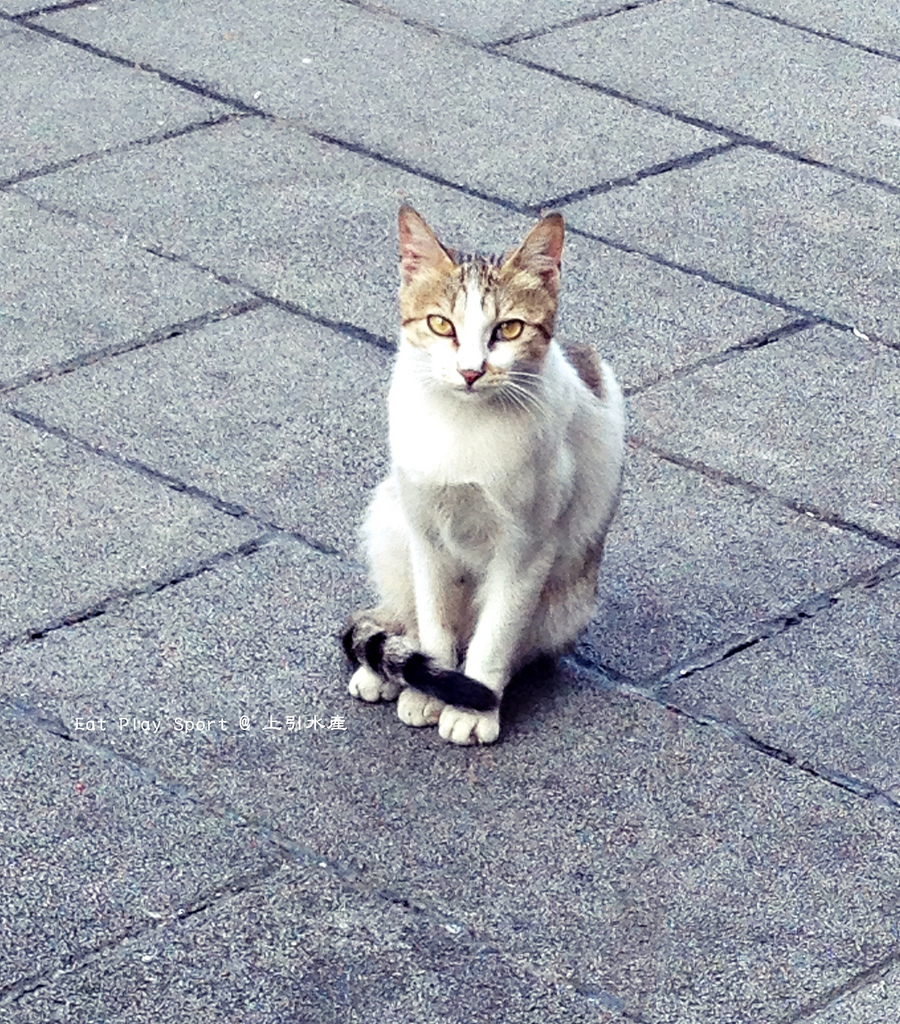 12784915733_c543606c87_o 12784915733_c543606c87_o