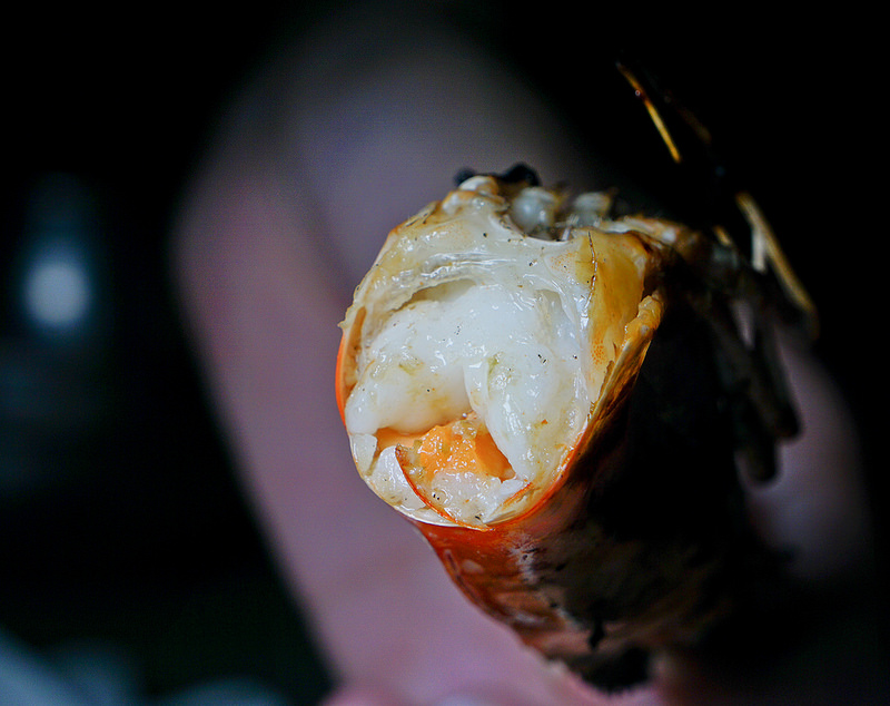 吃肉!! 用汽油桶烤來吃!! 燒桶子韓風立燒, 國父紀念館燒肉