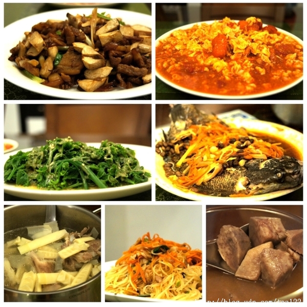 走入山林只為掬一捧桐花--三義綠波浪會館