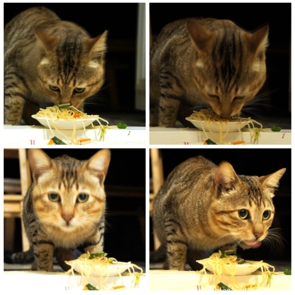 走入山林只為掬一捧桐花--三義綠波浪會館