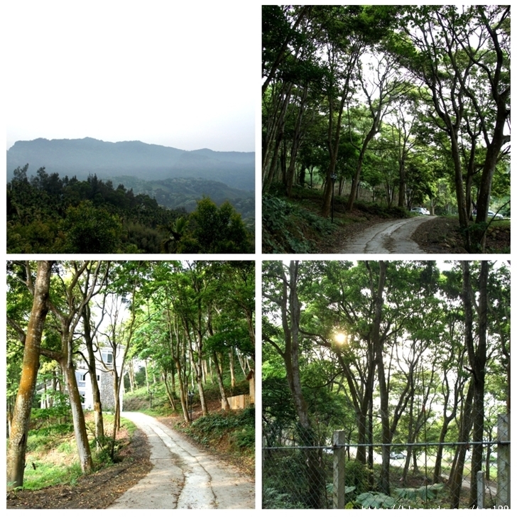 走入山林只為掬一捧桐花--三義綠波浪會館