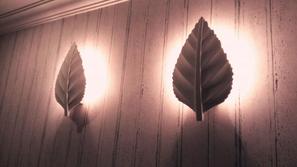 10805326_10152470106126762_544672543_n_副本 10805326_10152470106126762_544672543_n_副本