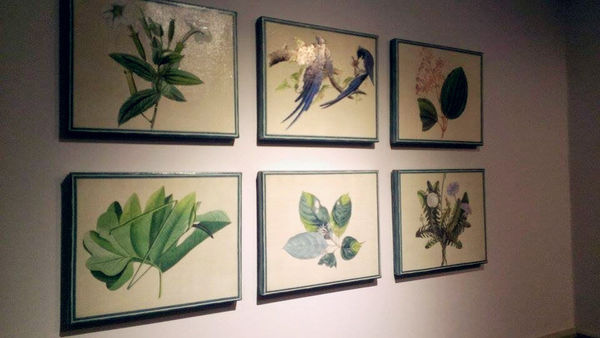 10807084_10152470102246762_1752286660_n_副本 10807084_10152470102246762_1752286660_n_副本