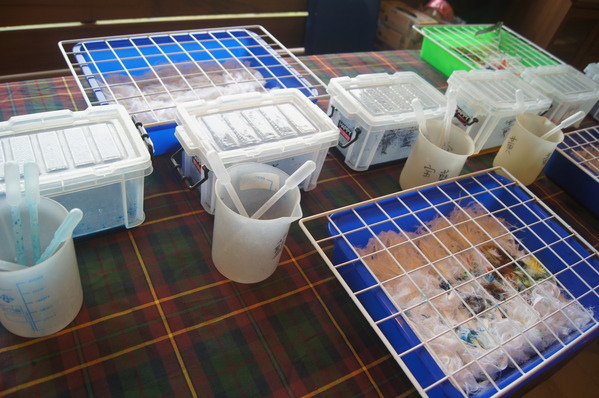 cgm38adf01adf41b54e52025386f22f2ad6189 (1).jpg