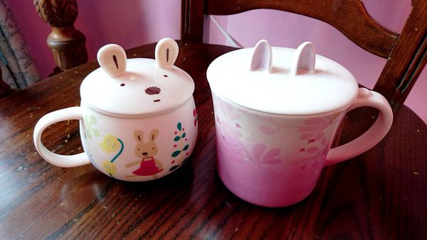 13987132_10153802877696762_2033003613_o