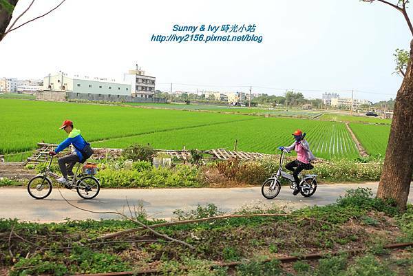 IMG_8139.JPG IMG_8139.JPG