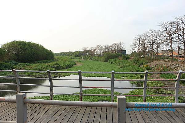 IMG_8155.JPG IMG_8155.JPG