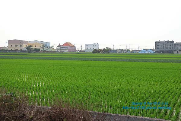 IMG_8149.JPG IMG_8149.JPG