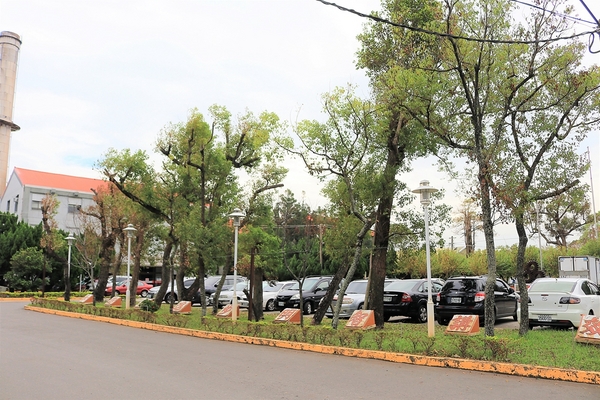 溪湖糖廠：【彰化溪湖景點】溪湖糖廠~糖廠蒸汽火車，搭乘五分車，酷熱的天氣來支糖廠冰，好清涼無比