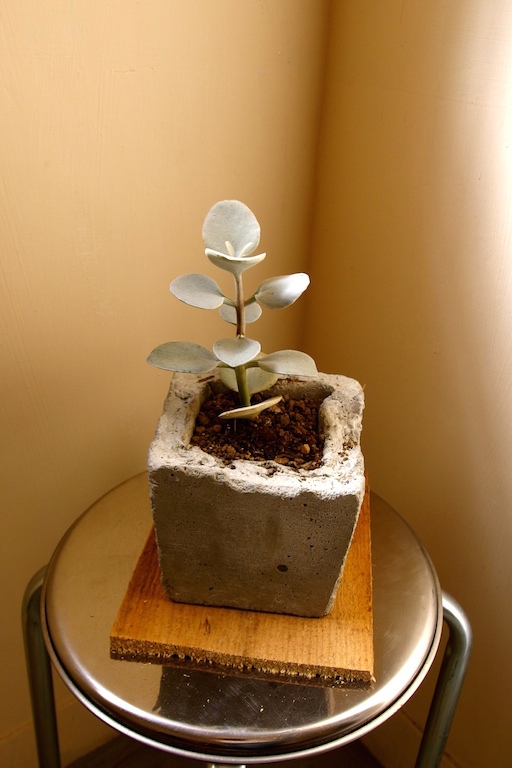 PB201019.jpg PB201019.jpg