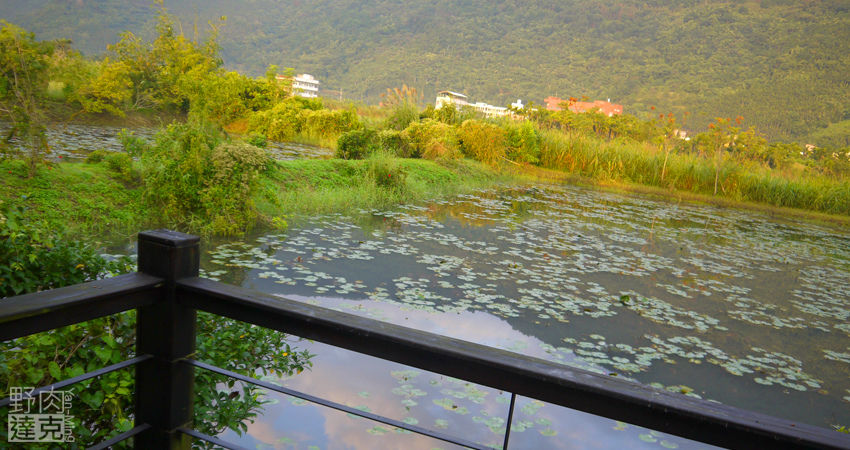 小雨蛙 有機 農場 民宿 蓮花茶 生態導覽 花蓮 壽豐鄉 小雨蛙 有機 農場 民宿 蓮花茶 生態導覽 花蓮 壽豐鄉