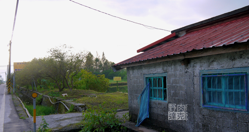 小雨蛙 有機 農場 民宿 蓮花茶 生態導覽 花蓮 壽豐鄉 小雨蛙 有機 農場 民宿 蓮花茶 生態導覽 花蓮 壽豐鄉