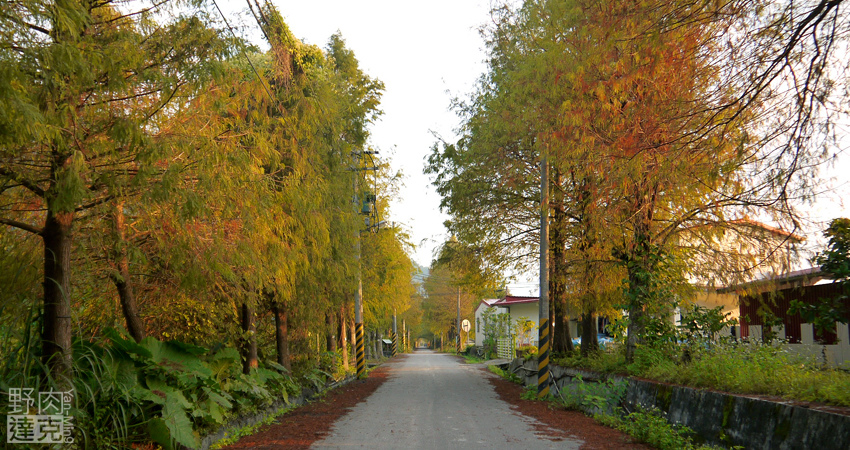小雨蛙 有機 農場 民宿 蓮花茶 生態導覽 花蓮 壽豐鄉 小雨蛙 有機 農場 民宿 蓮花茶 生態導覽 花蓮 壽豐鄉