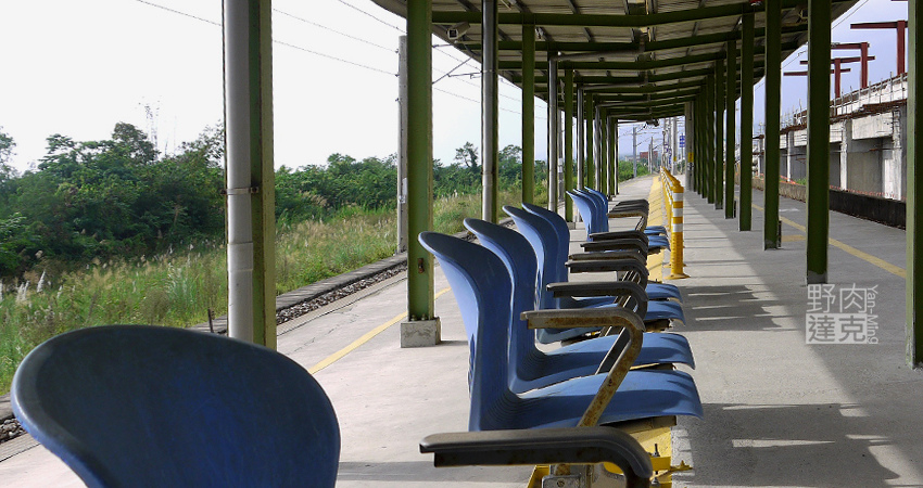 小雨蛙 有機 農場 民宿 蓮花茶 生態導覽 花蓮 壽豐鄉 小雨蛙 有機 農場 民宿 蓮花茶 生態導覽 花蓮 壽豐鄉