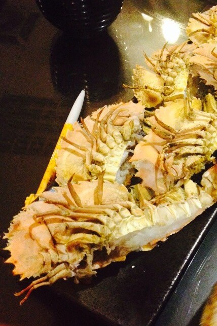 S__20004891.jpg S__20004891.jpg