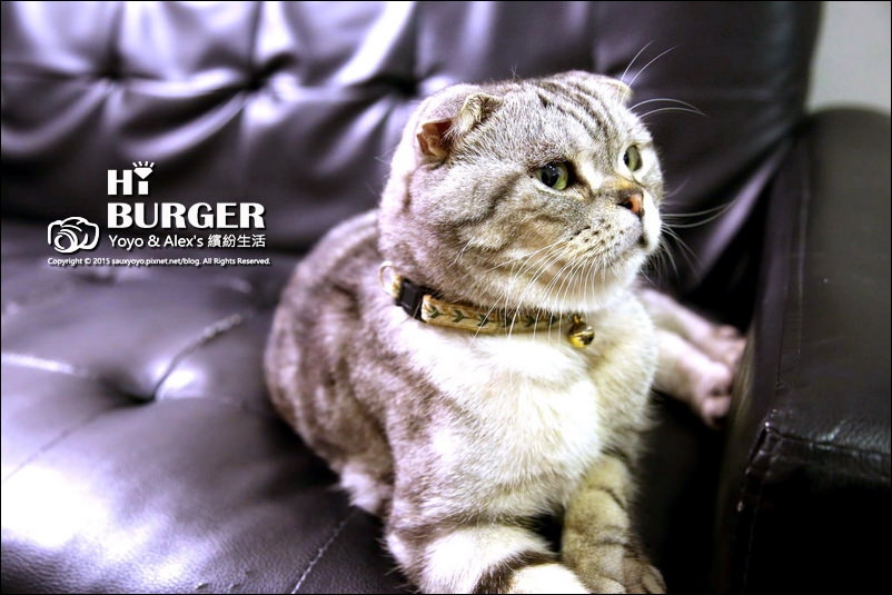 【永和】HI BURGER 美式漢堡餐廳 ~ 隱身巷弄之中的優質好店 厚實漢堡肉大口吃爽爽!!! 捷運頂溪站 / 有WIFI / 寵物友善餐廳