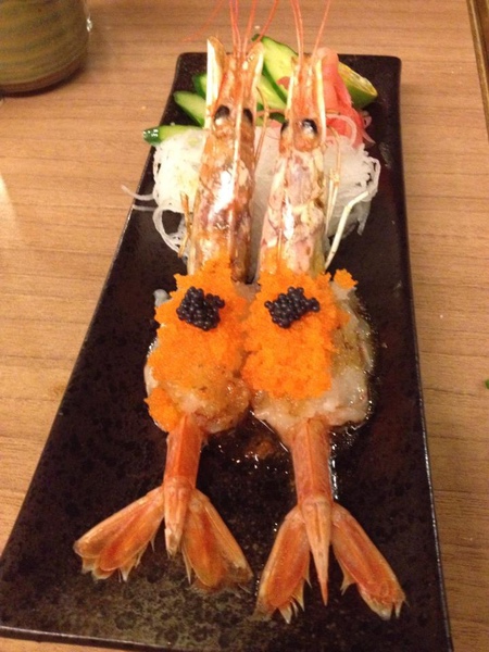 1379423_680476041992704_2109068826_n.jpg 1379423_680476041992704_2109068826_n.jpg