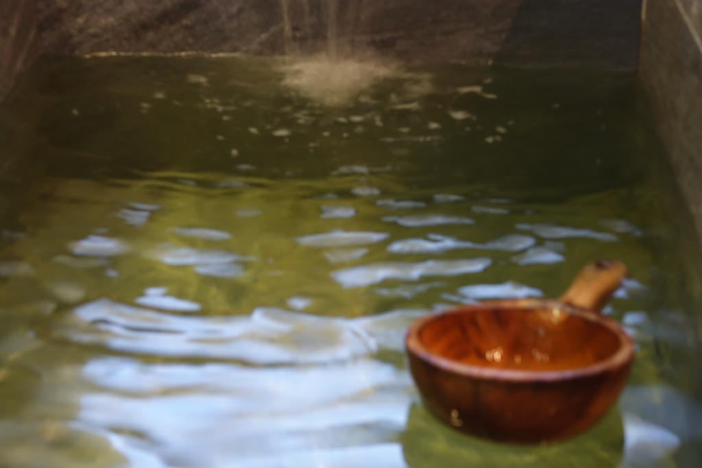 20171128_沐舎溫泉 (246)