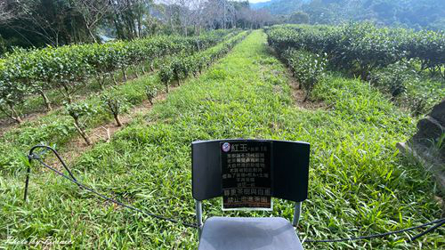 0930 日月老茶廠18.jpg