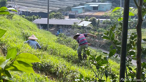 0930 日月老茶廠20.jpg