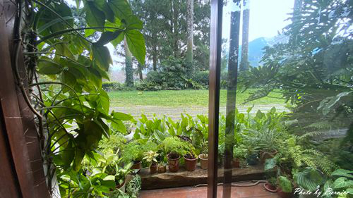 0930 日月老茶廠08.jpg