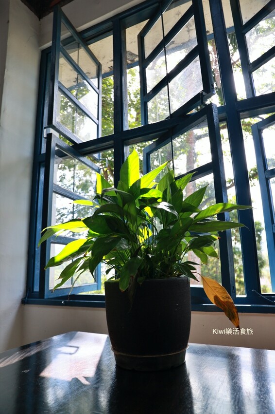 南投日月老茶廠｜南投魚池景點茶金拍攝場景，隱藏山林間的老茶廠，必拍必遊日月潭行程