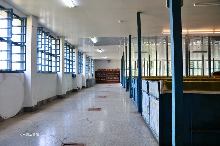 南投日月老茶廠｜南投魚池景點茶金拍攝場景，隱藏山林間的老茶廠，必拍必遊日月潭行程