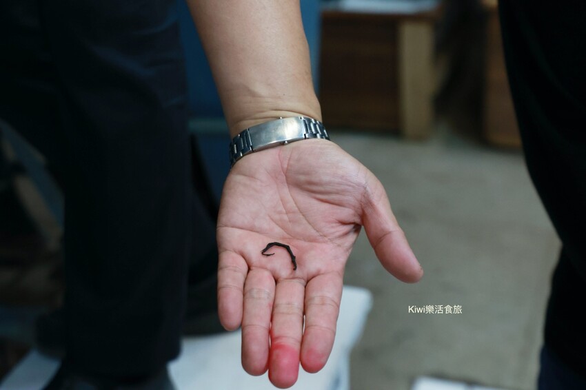 南投日月老茶廠｜南投魚池景點茶金拍攝場景，隱藏山林間的老茶廠，必拍必遊日月潭行程