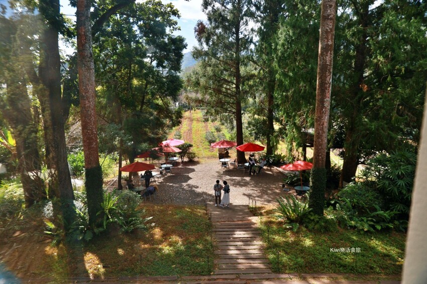 南投日月老茶廠｜南投魚池景點茶金拍攝場景，隱藏山林間的老茶廠，必拍必遊日月潭行程