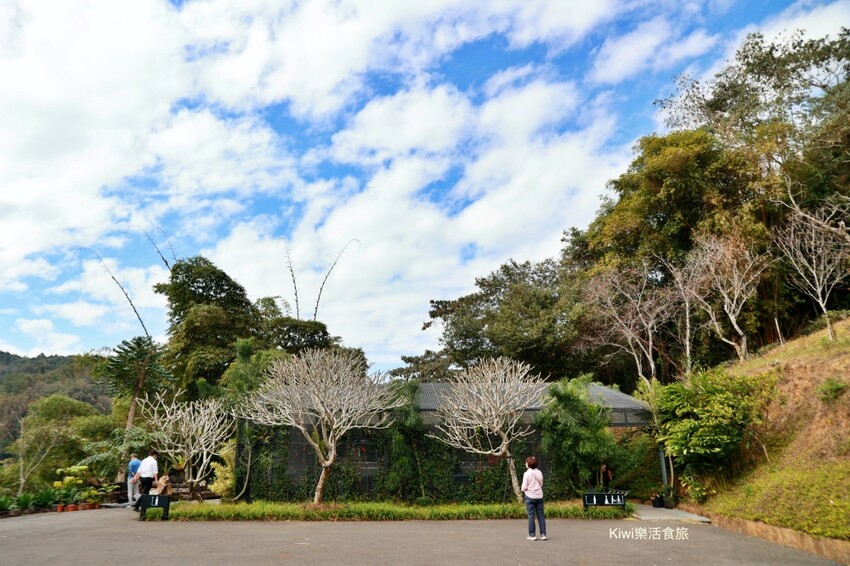 南投日月老茶廠｜南投魚池景點茶金拍攝場景，隱藏山林間的老茶廠，必拍必遊日月潭行程