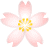 桜のアイコン