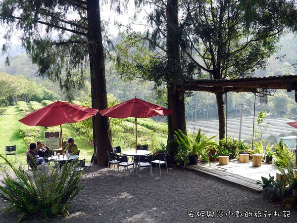 日月老茶廠 (14).JPG