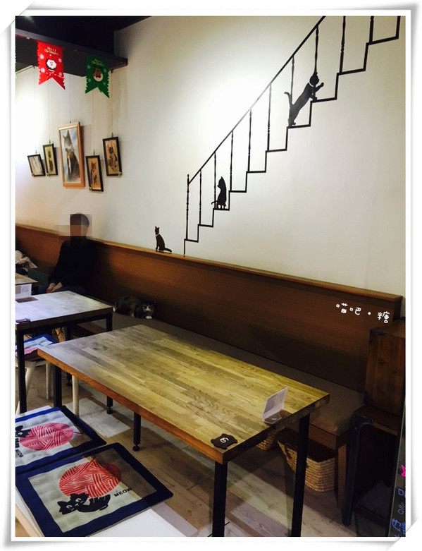 喵吧咖啡廳：【台北松山】喵吧 meow bar