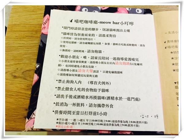 喵吧咖啡廳：【台北松山】喵吧 meow bar