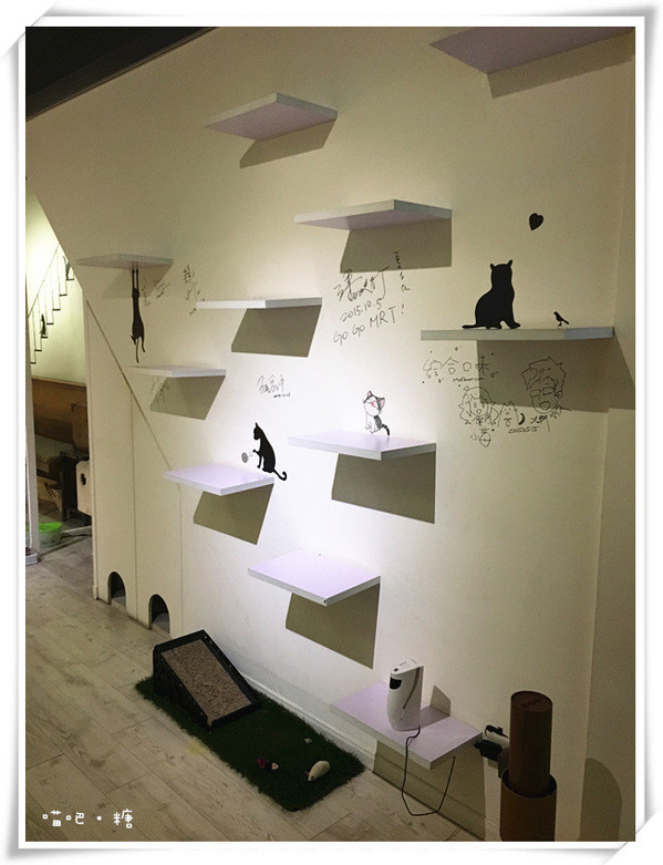 喵吧咖啡廳：【台北松山】喵吧 meow bar