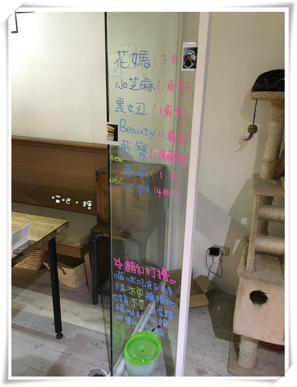 喵吧咖啡廳：【台北松山】喵吧 meow bar