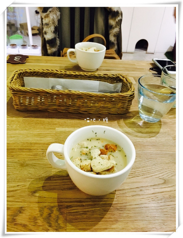 喵吧咖啡廳：【台北松山】喵吧 meow bar