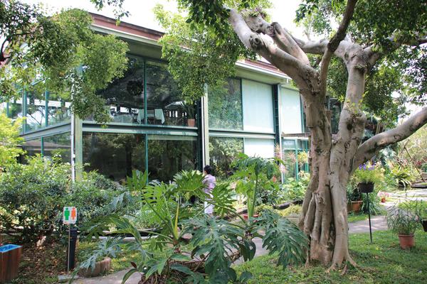 千樺庭園咖啡: 【台中景點】新社千樺花園餐廳。森林裡神秘的玻璃屋/穿梭在花園及樹叢裡的小浪漫/與幸福有約的景觀餐廳