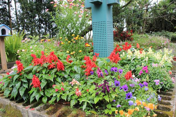 千樺庭園咖啡: 【台中景點】新社千樺花園餐廳。森林裡神秘的玻璃屋/穿梭在花園及樹叢裡的小浪漫/與幸福有約的景觀餐廳