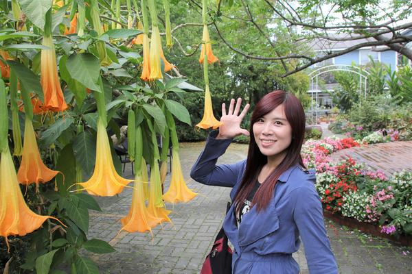 千樺庭園咖啡: 【台中景點】新社千樺花園餐廳。森林裡神秘的玻璃屋/穿梭在花園及樹叢裡的小浪漫/與幸福有約的景觀餐廳