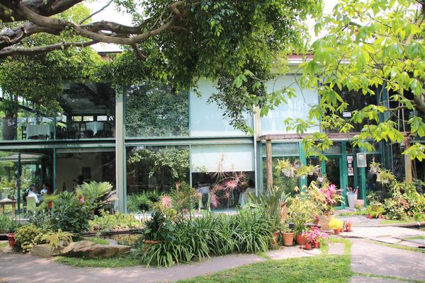 千樺庭園咖啡: 【台中景點】新社千樺花園餐廳。森林裡神秘的玻璃屋/穿梭在花園及樹叢裡的小浪漫/與幸福有約的景觀餐廳